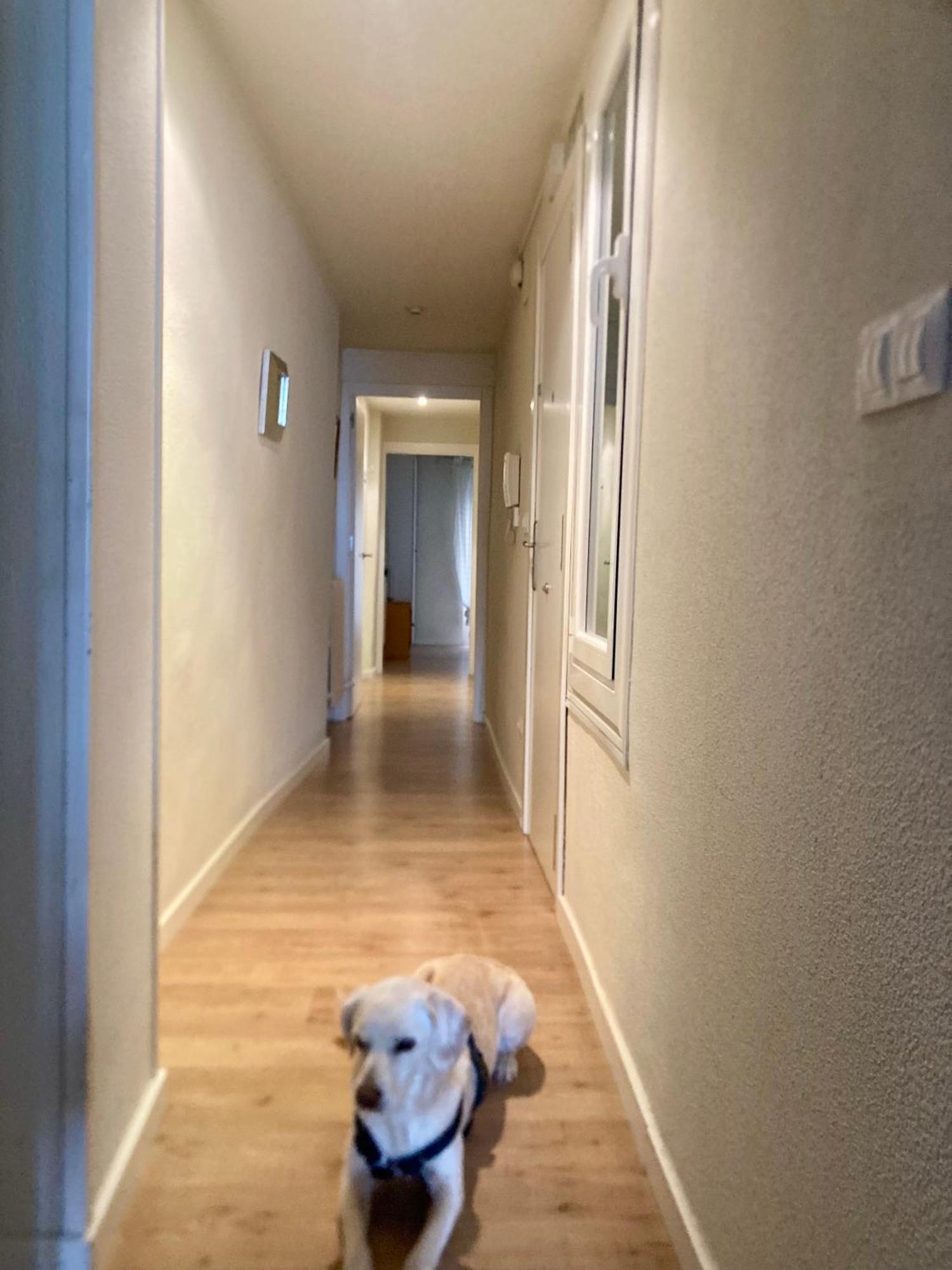 Apartamento San Gregorio Pamplona Dış mekan fotoğraf